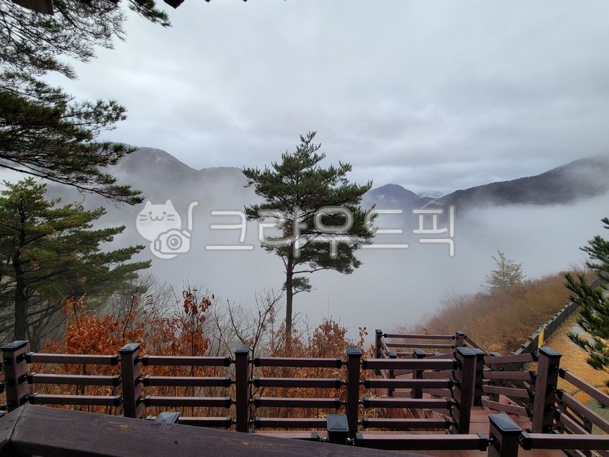 비온후산,안개낀산봉욹,비온후풍경,구름,자연현상