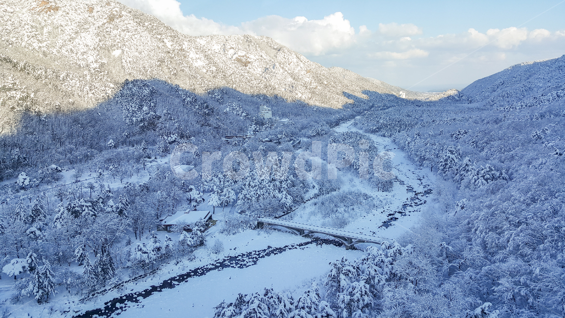 눈,snow,겨울,나무,winter,겨울,계절,winter,season,자연,풍경,nature,landscape