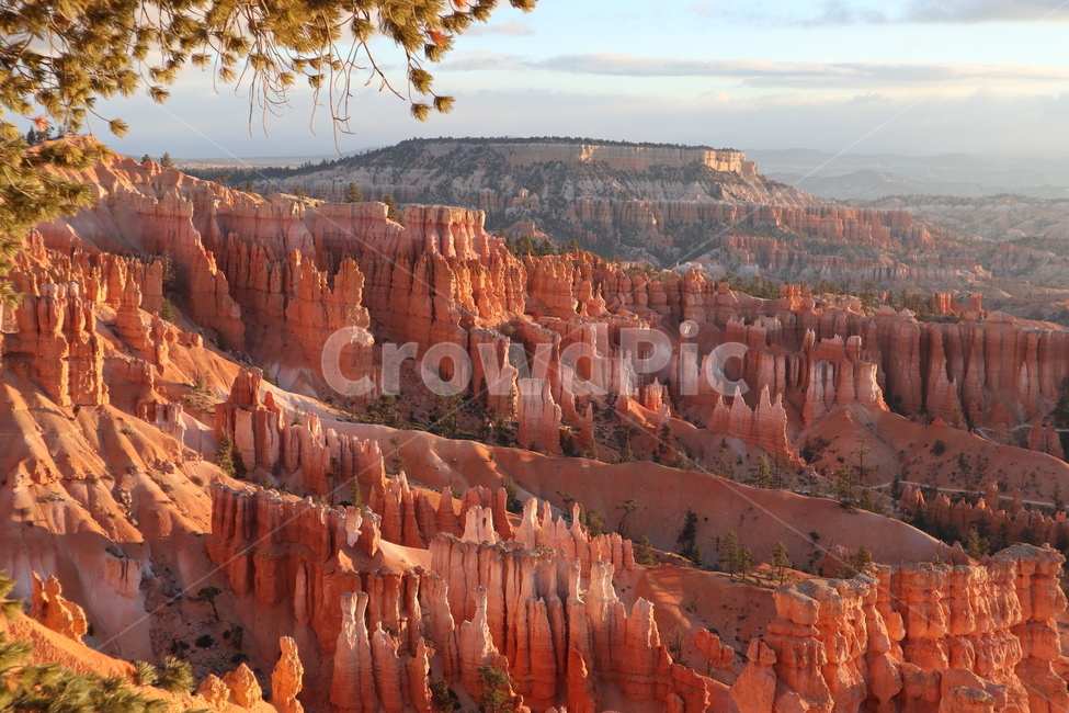 미서부,브라이스캐년,브라이스캐년국립공원,brycecanyon,유타주,nature,자연,자연,풍경,nature,landscape,해외,외국,세계,foreign,oversea,world,세계자연풍경,해외자연풍경,외국자연풍경,world nature landscape