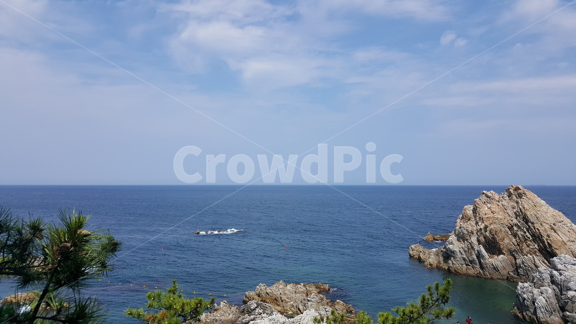 수평선,구름,바위,식물,나무,자연,풍경,자연,풍경,nature,landscape,promontory,곶