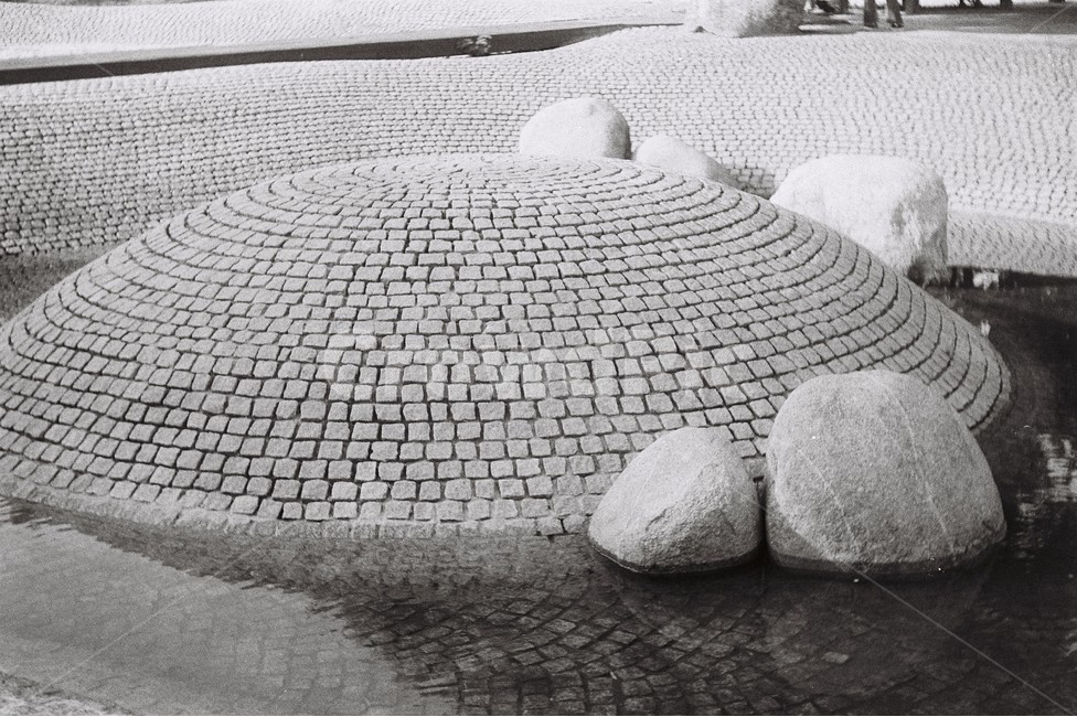 필름카메라,감성사진,흑백,선유도,필름,흑백,모노톤,monochrome,black and white