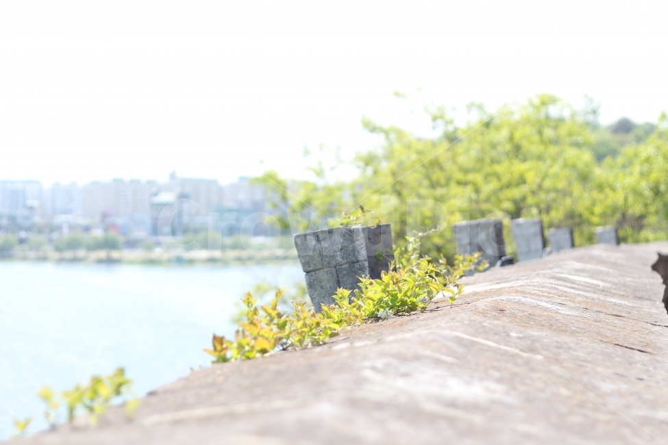 자연,풍경,감성,감성사진,돌,식물,자연,plants,nature,휴식,힐링,rest,relaxation,healing
