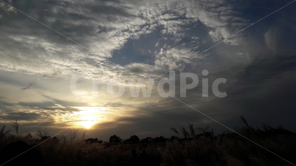 하늘공원,석양,하늘,구름,상암동,가을,계절,fall,autumn,season,자연,풍경,nature,landscape,light,빛,flare,플레어,sunlight,햇빛,outdoors,옥외