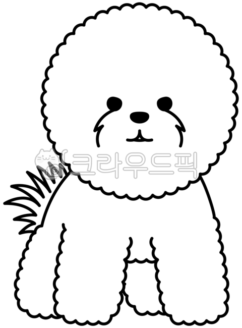 비숑,비숑프리제,개,강아지,pet,펫,애완동물,캐릭터,일러스트,흰색,화이트,white,puppy,animal,동물