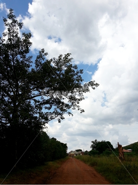 자연,하늘,나무,시골길,아프리카,풍경,africa,uganda,파란하늘,sky,tree,nature,구름,자연,풍경,nature,landscape,outdoors,옥외