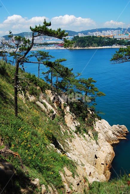 자연,바다,풍경,여름,대왕암,자연,풍경,nature,landscape,한국자연풍경,한국자연경관,korea nature landscape,도시,city,한국도시풍경,한국도시경관,korea cityscape,water,물,outdoors,옥외,shoreline,해안선,ocean,대양,sea,land,땅