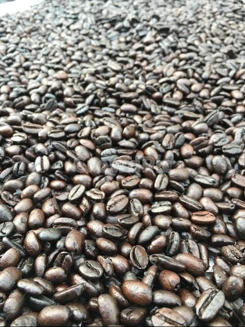 커피,coffee,로스팅,black,bean,콩