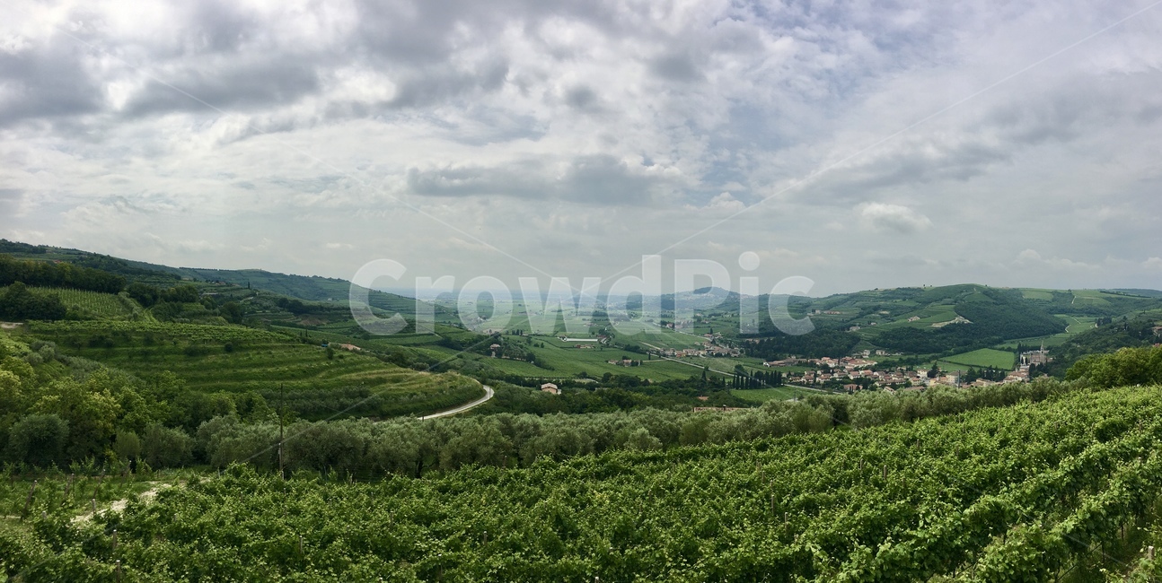 nature,자연,outdoors,옥외,한지방,countryside,scenery,풍경,이탈리아,유럽,농장