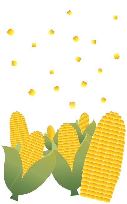 corn,옥수수,옥수수일러스트,일러스트,팝콘,야채,옥수수ai,그래픽,일러스트레이션,graphic,illustration
