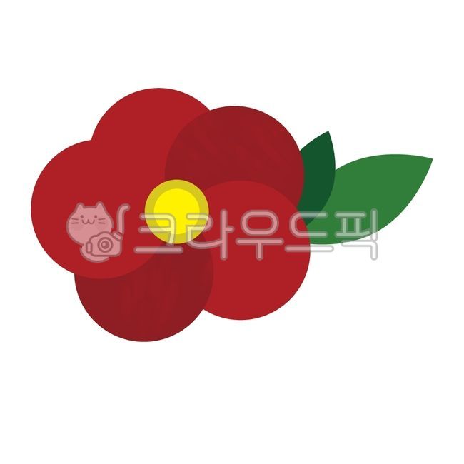 43 incident,Jeju,flower painting,camellia flower,jeju island,Jeju 43,camellia,Jeju Illustration,flower