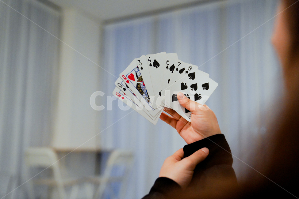 카드,포커,훌라,도박,카드게임,게임,오락,놀이,game,play