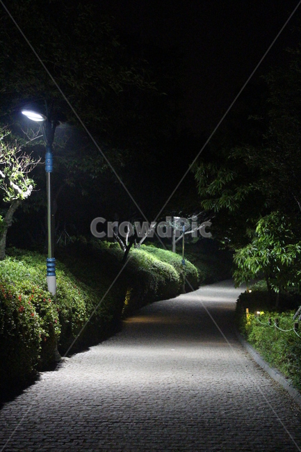 가로등,야경,야경복도,등산로,밤등산로,야경,밤,풍경,nightscape,night,landscape
