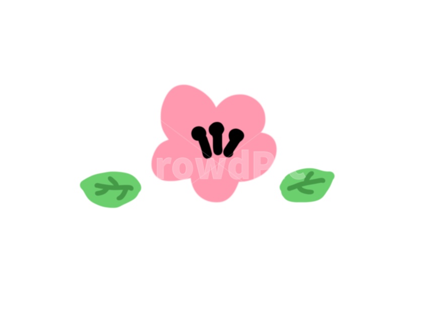 꽃일러스트,꽃그림,손그림꽃,꽃,꽃손그림,누끼,remove background
