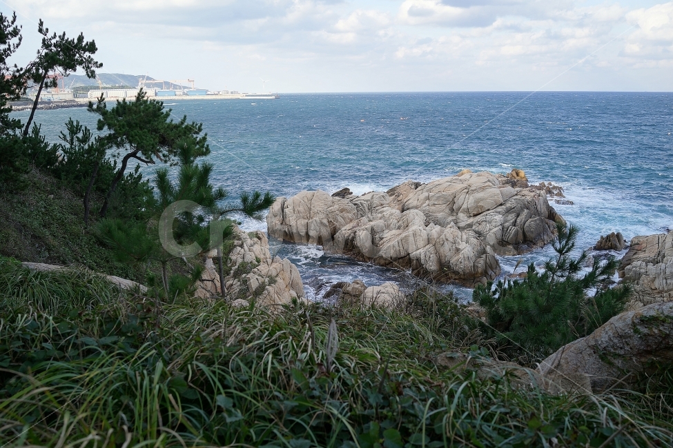 일상,스냅,감성,풍경,대왕암공원,바다,소니,rx1,자연,풍경,nature,landscape,한국자연풍경,한국자연경관,korea nature landscape,promontory,곶,sea,water,물,ocean,대양,outdoors,옥외,land,땅