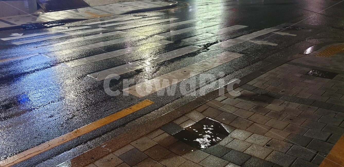 비,도로,비오는도로,물웅덩이,횡단보도,밤