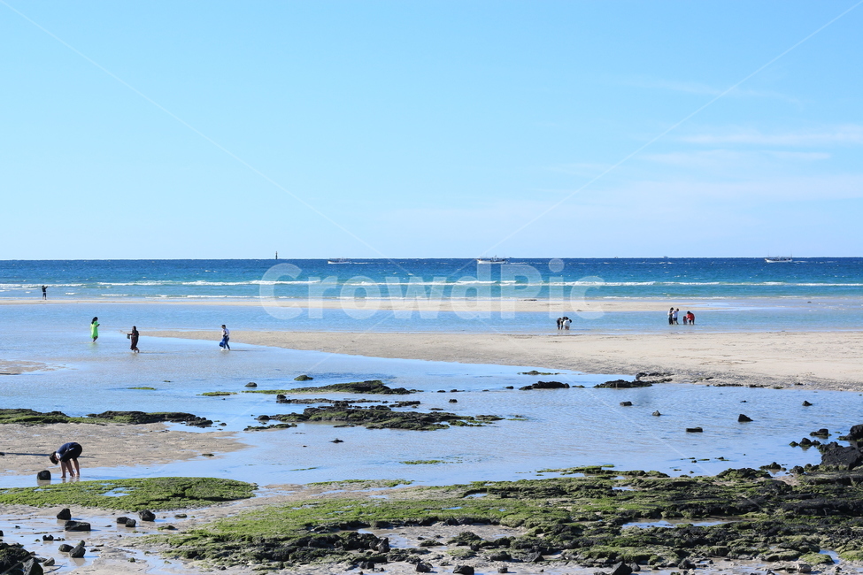 outdoors,옥외,nature,자연,바닷가,제주,jeju,제주도,beach,해변,여름,해변,바다,beach,sea