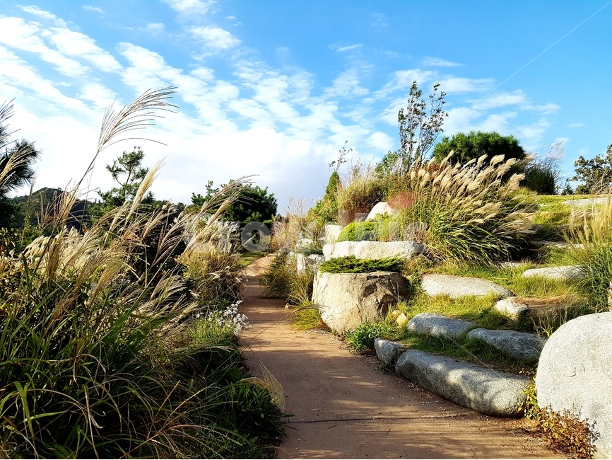 영인산,하늘,구름,풍경,가을,가을,계절,fall,autumn,season,자연,풍경,nature,landscape,한국자연풍경,한국자연경관,korea nature landscape,plant,식물