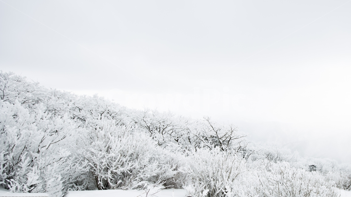 겨울,눈보라,정상,흰눈,상고대,겨울,계절,winter,season,자연,풍경,nature,landscape,outdoors,옥외,storm,폭풍,snow,눈,blizzard