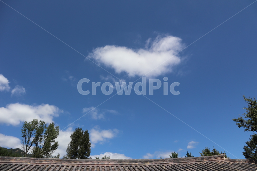 지붕,하늘,구름,하늘색,하얀색,나무,자연,야외,풍경,background,roof,sky,cloud,nature,outdoors