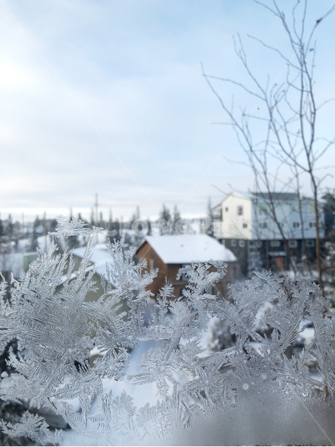 winter,window,cold,nature,자연,ice,빙,snow,눈,frost,서리,옥외,outdoors,sky,freezing,frozen