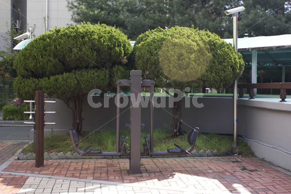 나무,자연,식물,공공시설,운동기구,기구,운동,헬스,소나무,보도블럭,cctv,감시카메라,공원