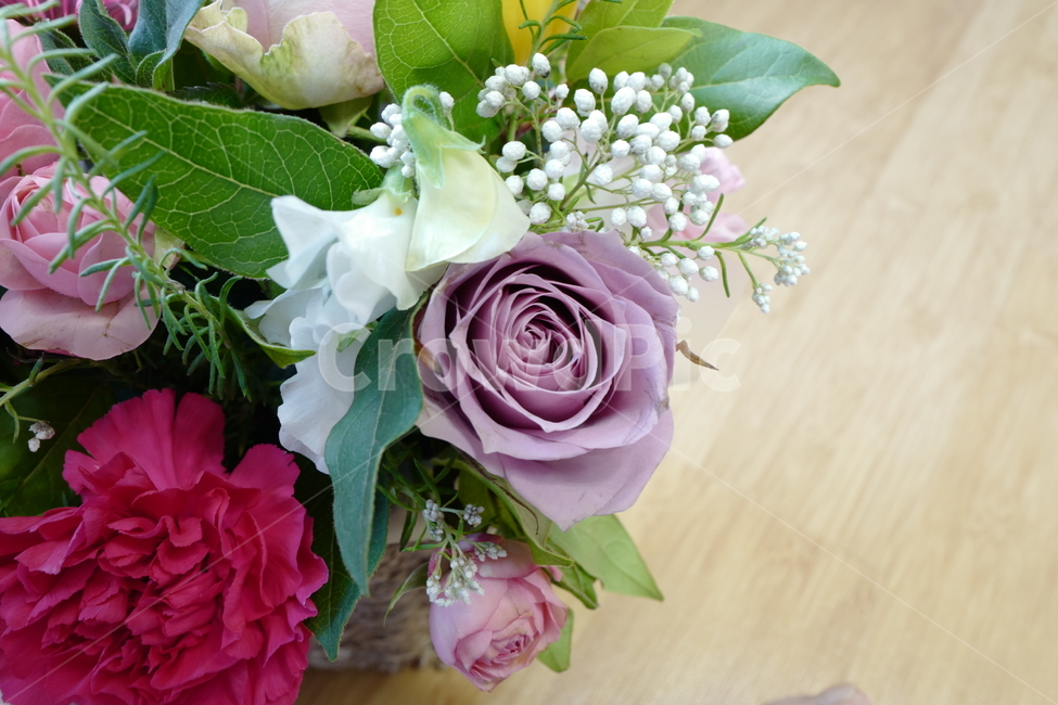 꽃,플라워,flower,flowers,꽃바구니,꽃,flower,기념일,축하,anniversary,congratulation,celebrate,celebration