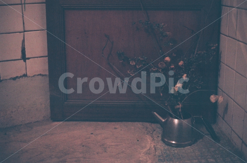 카페,공간,인테리어,느낌,순간,분위기,식물,자연,plants,nature,감성,sensible,feeling,꽃,flower