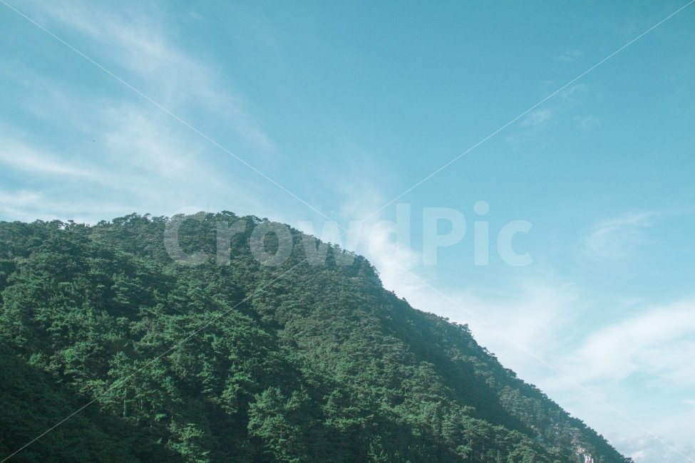 산,바다,풍경,여행,부산,태종대,travel,mountain,sea,blue,busan,korea,scenery,자연,풍경,nature,landscape,한국자연풍경,한국자연경관,korea nature landscape,outdoors,옥외,vegetation,초목,plant,식물,bush,부시