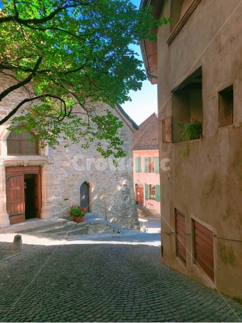스위스,로잔,골목,나무,꽃,건물,switzerland,lausanne,alley,tree,flower,building,place,도시,풍경,city,landscape,골목길,alley,해외,외국,세계,foreign,oversea,world,세계도시풍경,해외도시풍경,외국도시풍경,world cityscape,walkway,보도,path,통로,flagstone,판석,pavement,포장,sidewalk