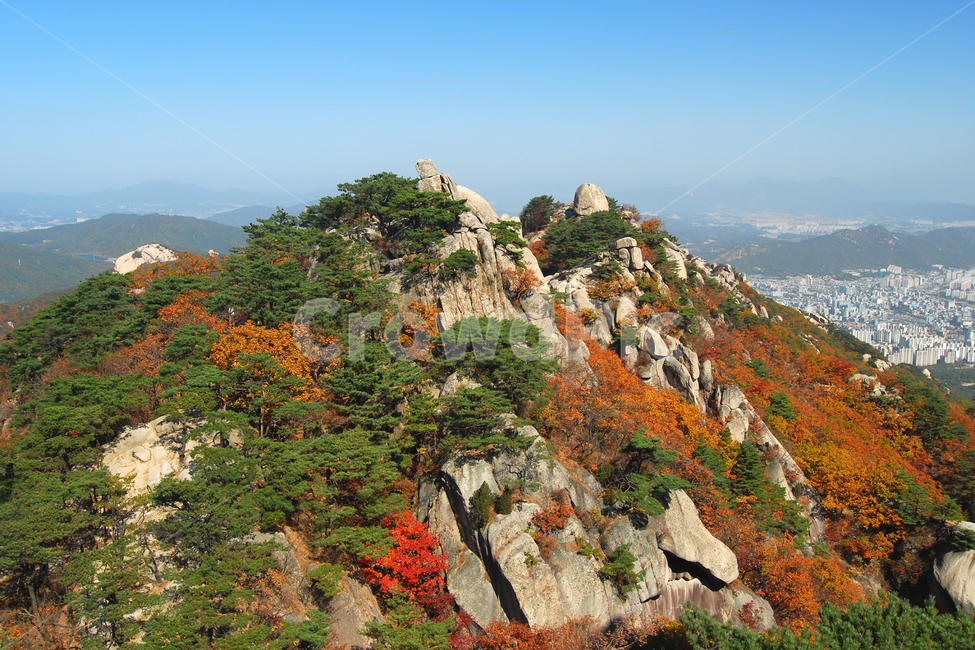 도봉산,산,단풍,가을,계절,바위,바위산,풍경,자연,나무,소나무,숲,산림,봉,봉우리,산봉우리,등산,절경,국립공원,하늘,서울,한국,가을,계절,fall,autumn,season,자연,풍경,nature,landscape,한국자연풍경,한국자연경관,korea nature landscape,도시,city,한국도시풍경,한국도시경관,korea cityscape,outdoors,옥외,cliff,낭떠러지