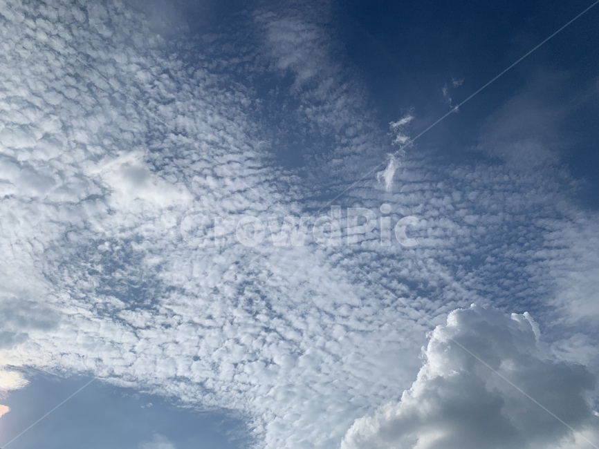 하늘,자연,풍경,구름,날씨,바람,맑음,흐림,sky,nature,view,cloud,weather,wind,landscape,outdoors,옥외,cumulus,적운