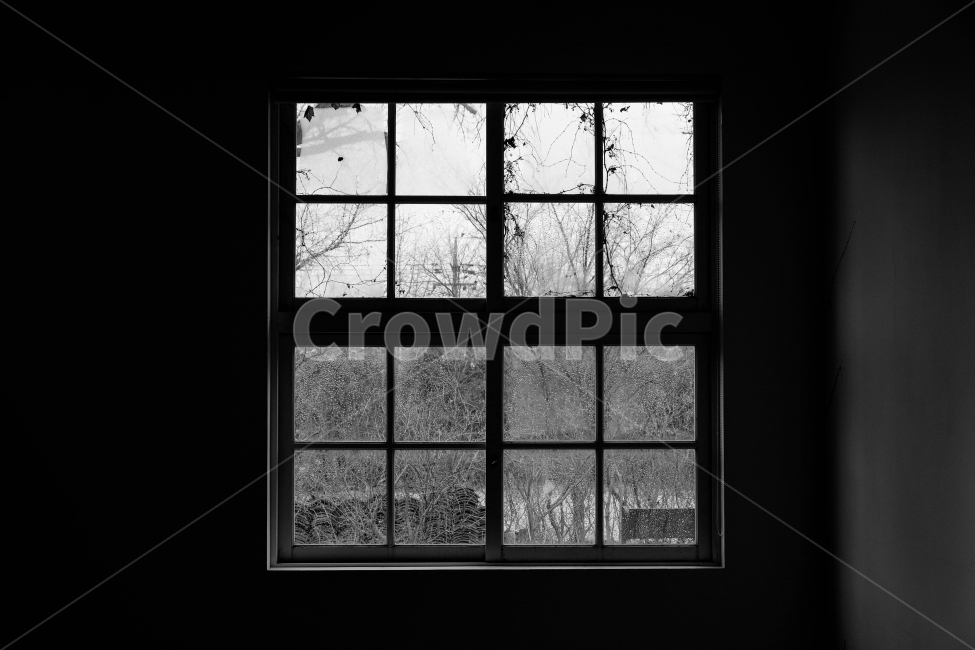 창문,겨울,흑백,풍경,경치,감성,흑백,모노톤,monochrome,black and white,인테리어,실내디자인,interior design