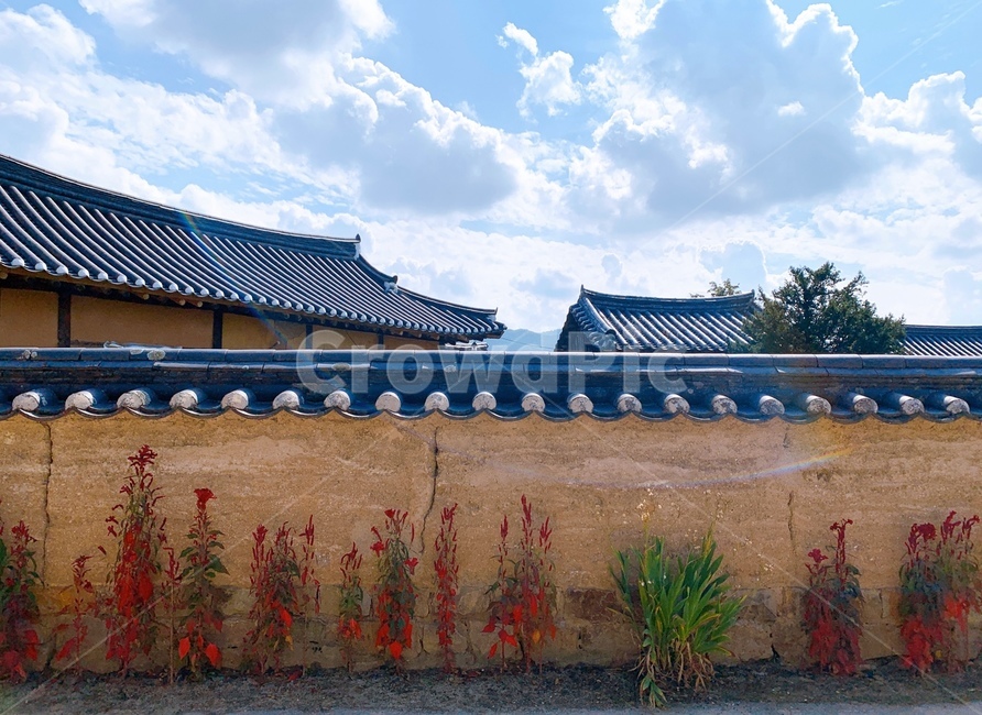 한국,안동,하회마을,담벼락,문화,유적,보물,한국전통,한국문화,korean traditional,korean culture