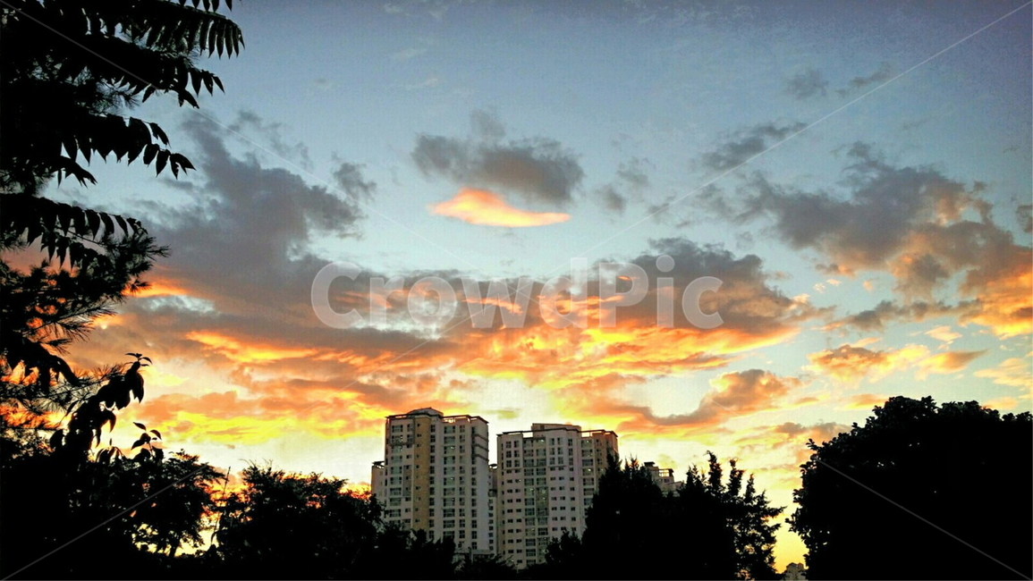 nature,자연,outdoors,옥외,dusk,하늘,sky,붉은하늘,redsky,sunset,일몰,dawn,새벽,황혼,밤야경,분위기,구름,나무