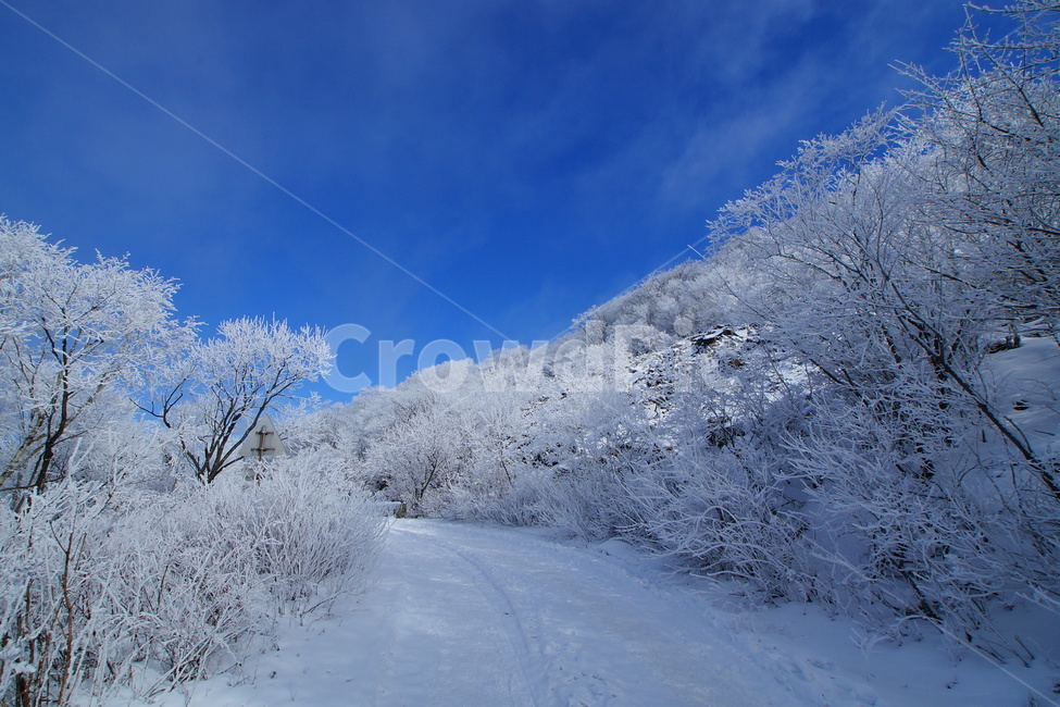 함백산,설경,풍경,상고대,정선,고한,푸른하늘,겨울,계절,winter,season,자연,풍경,nature,landscape,outdoors,옥외,snow,눈