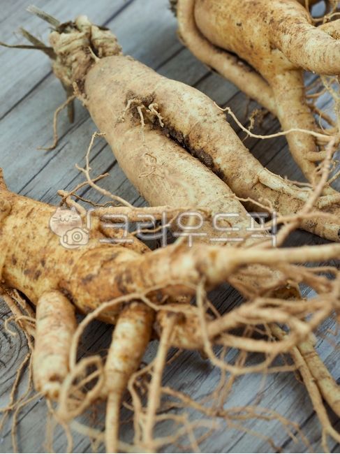 인삼,수삼,인삼뿌리,동양의학,한약재료,한약재,약재,뿌리,식물,뿌리식물,음식,건강식품,orientalmedicine,chinesemedicineingredients,herbalmedicine,ginseng,medicine,root,plant,food,healthfood,한의학,한약,한방