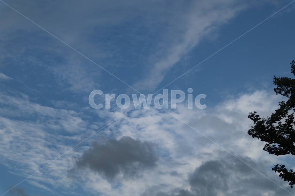 하늘,구름,풍경,먹구름,푸른,나무,가을하늘,자연,풍경,nature,landscape,outdoors,옥외,sky,azure sky,푸른 하늘