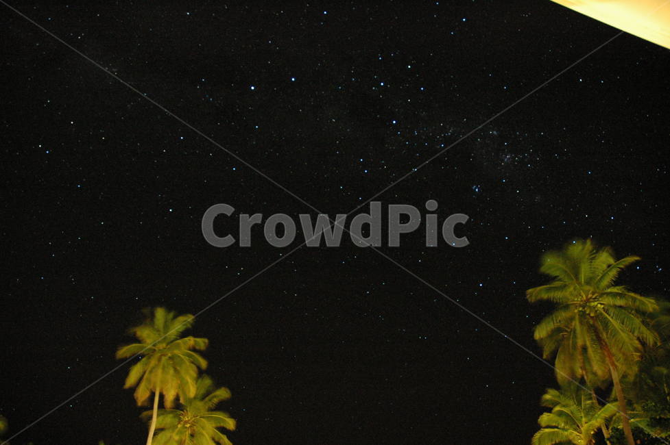별,밤하늘,피지,감성사진,stars,야경,야자수,fiji,nightview,palmtree,야경,밤,풍경,nightscape,night,landscape