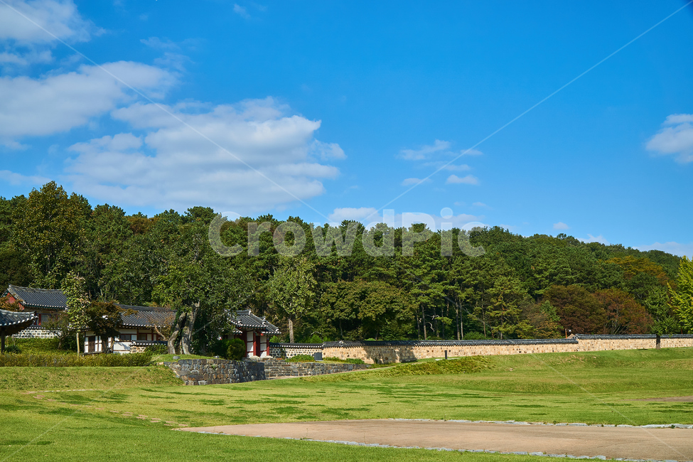 field,들,자연,grass,잔디,목초지,풍경,야외,grassland,nature,맑은,하늘,sky,배경,가을하늘,넓은,광활한,가을날,자연,풍경,nature,landscape,outdoors,옥외