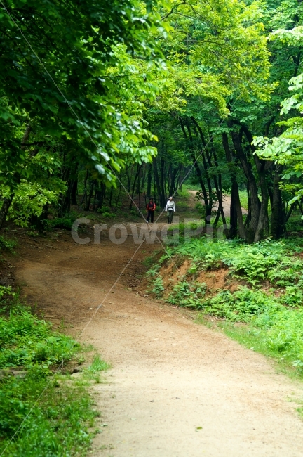 자연풍경,길,산책,산길,녹음,자연,풍경,nature,landscape,path,통로