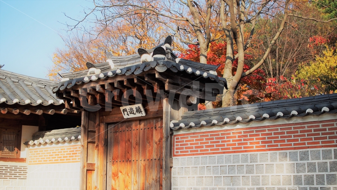 전통,건축물,건물,고궁,경복궁,가을,고전미,단풍,여행,도심,조선,한국전통,한국문화,korean traditional,korean culture,랜드마크,landmark,tourist attraction,한국랜드마크,한국관광지,한국명소,korea landmark,korea tourist attraction,건축물,건물외관,exterior,building,structure,architecture,construction