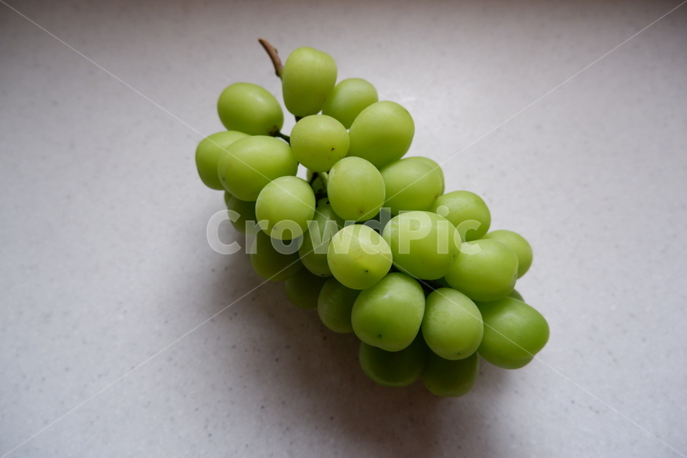 plant,식물,과일,포도,청포도,샤인머스켓,샤인머스캣,후식,디저트,fruit,grape,greengrape,dessert,food,음식,과일,열매,fruit