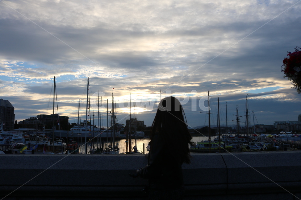 풍경,노을,sunsetbeach,해변가,yacht,요트,바다,하늘,뒷모습,여자,back,backview,girl,woman,사람,인물,인간,human,person,여성,여자,woman,female,lady