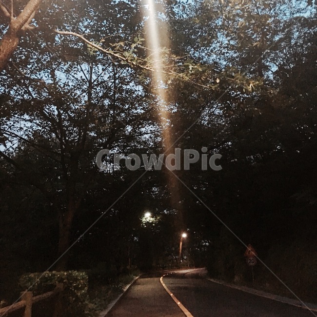 남산,저녁,초저녁,풍경,나무,산책길,자연,풍경,nature,landscape,야경,밤,nightscape,night,light,빛,flare,플레어,asphalt,아스팔트