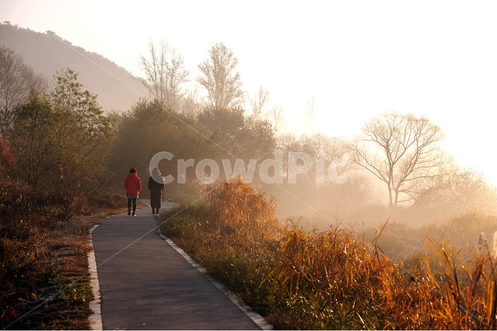 아침,산책,여인,두사람,안개,겨울,가을,계절,fall,autumn,season,자연,풍경,nature,landscape,사람,인물,인간,human,person,weather,날씨,outdoors,옥외