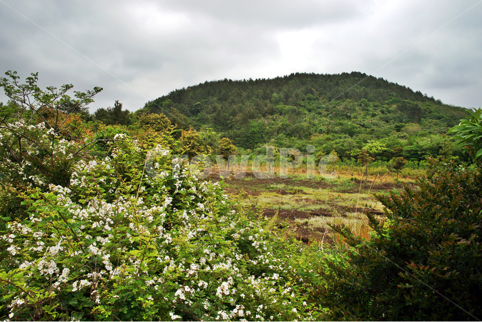 따라비오름,제주,오름,기생화산,화산체,자연,가시리,자연,풍경,nature,landscape,한국자연풍경,한국자연경관,korea nature landscape,제주도,jeju,jeju island,outdoors,옥외