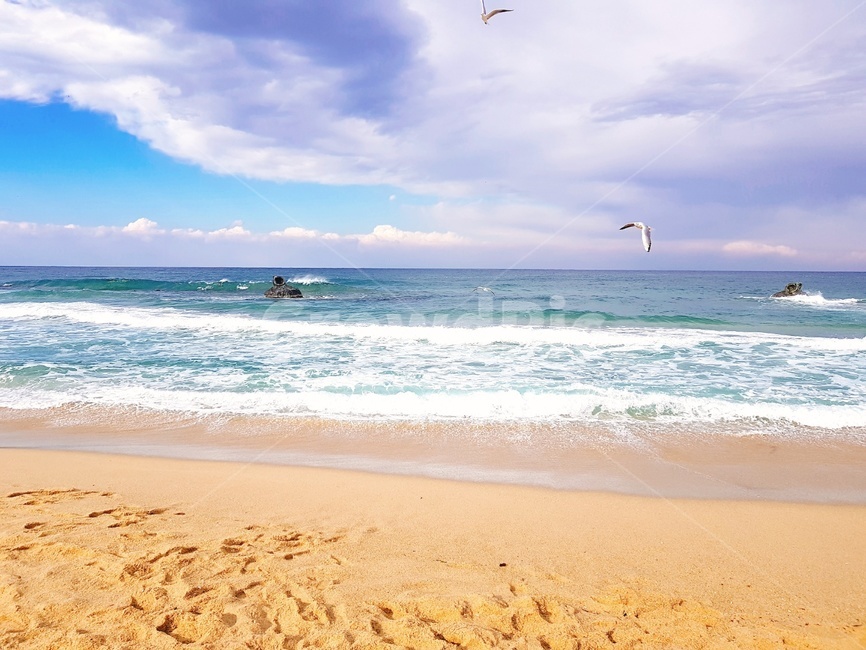 바다,강릉,ocean,water,sea,자연,nature,environment,해변,바다,beach,sea