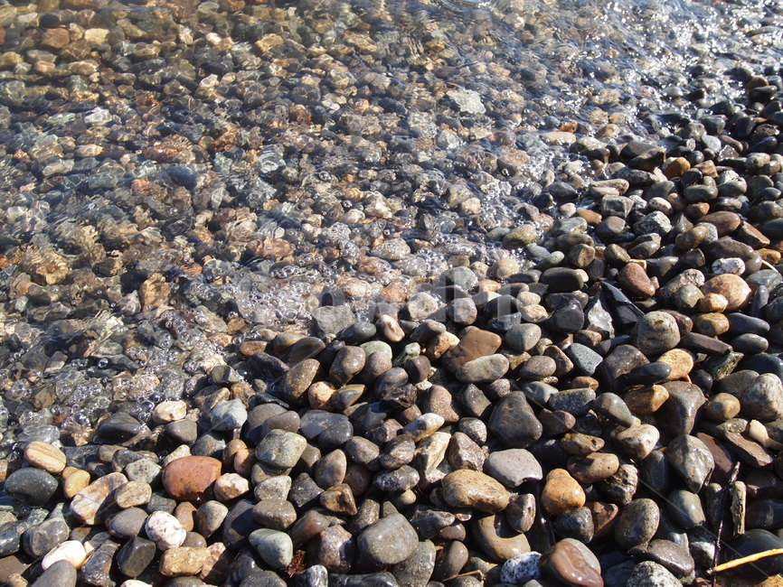 자갈,물,밀물썰물,모래,바다,흘그,해변,바다,beach,sea