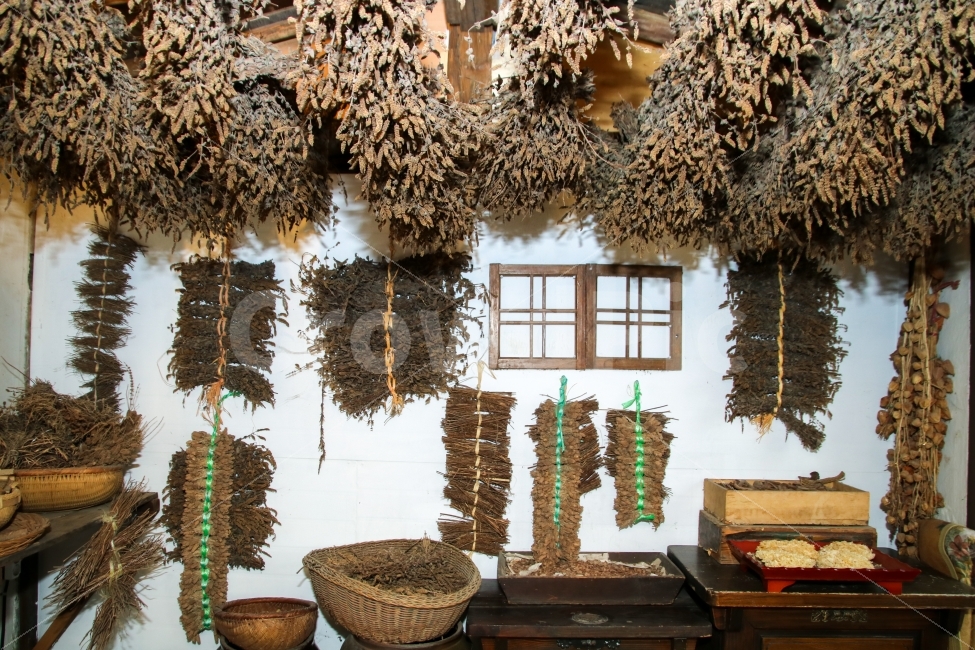 낭만,약초,초가집,고향집,흰벽,소쿠리,바구니,옛날집,빗자루,cottage,medicinalherbs,basket,시골풍경,Rurallandscape,한국전통,한국문화,korean traditional,korean culture,의료,의학,병원,medical,hospital,clinic
