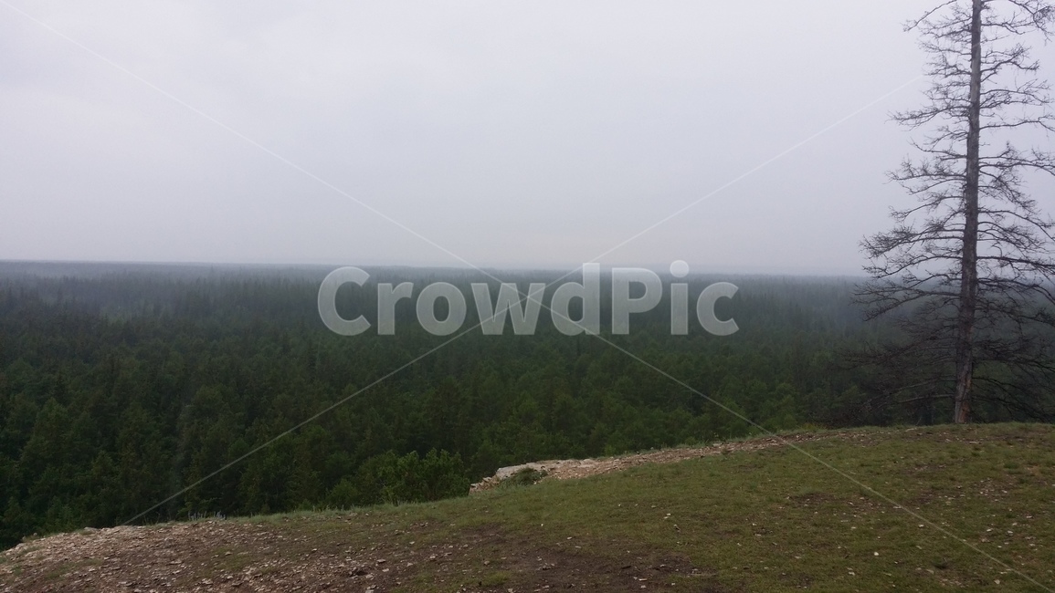 러시아,야쿠츠크,사하공화국,침엽수림,숲,russia,yakutsk,배경,자연,풍경,nature,landscape,해외,외국,세계,foreign,oversea,world,세계자연풍경,해외자연풍경,외국자연풍경,world nature landscape,weather,날씨,outdoors,옥외,fog,안개